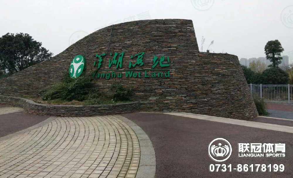洋湖濕地公園足球場